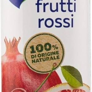 &NBSP SANTAL SUCCHI DI FRUTTA GUSTO FRUTTI ROSSI 1L