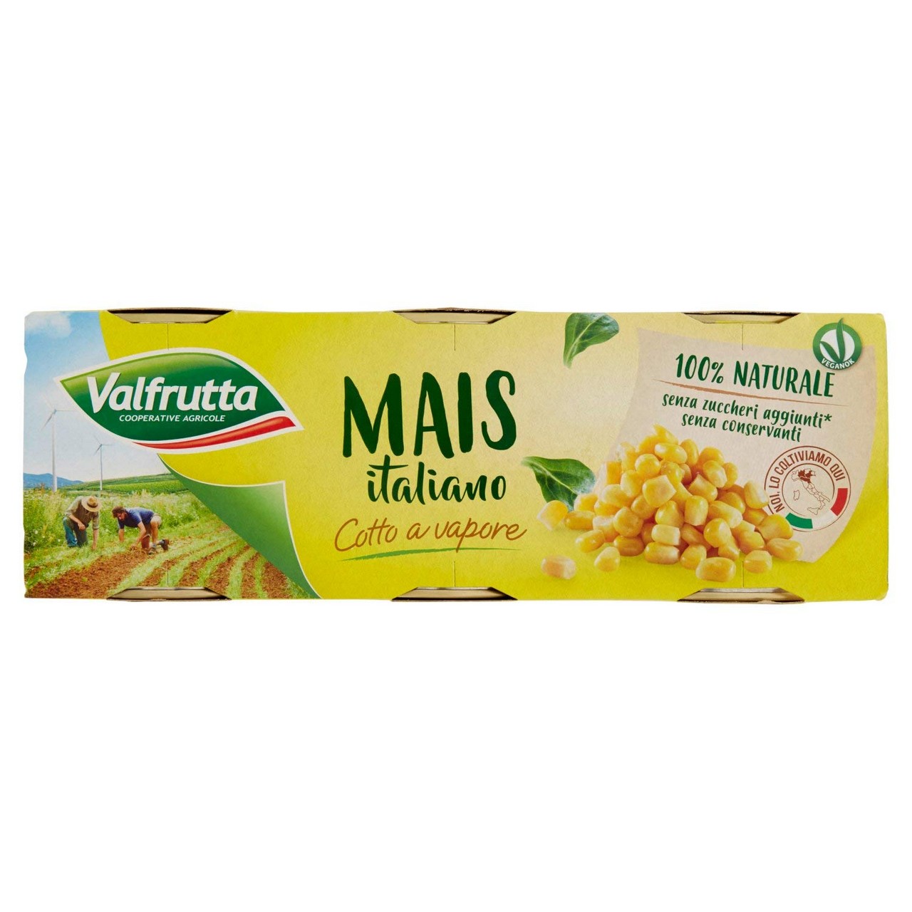 &NBSP VALFRUTTA MAIS ITALIANO, COTTO A VAPORE, IN SCATOLA GR326X3