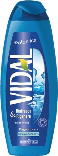 VIDAL BAGNODOCCIA POLAR ICE 500ML