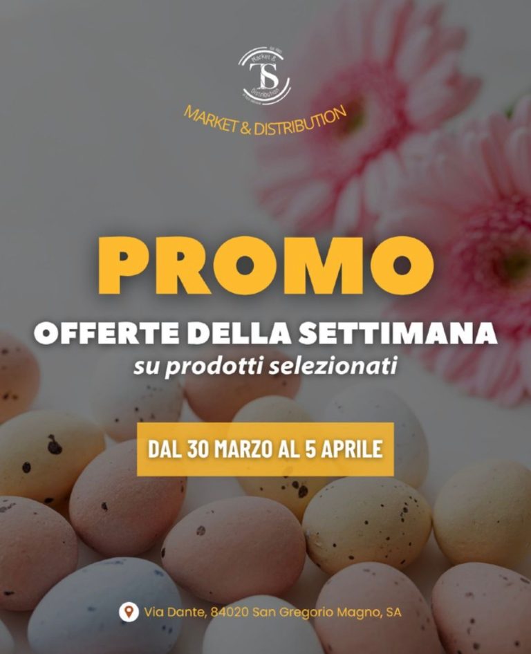 whatsapp image 2026 03 30 at 15.31.32 (3)